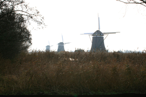 polder 001