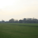 polder 019