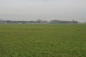 polder 028