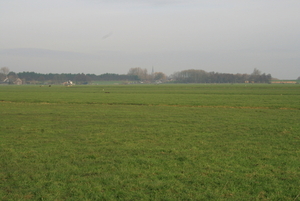 polder 028