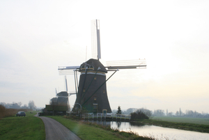 polder 008