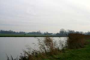 polder 014