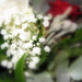 Alain_en_Griet_11_2007 016