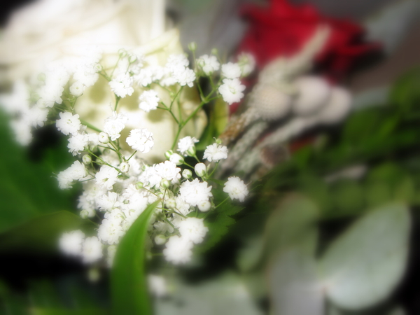 Alain_en_Griet_11_2007 016