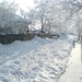 winter 1