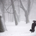 winter 3