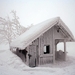winter 6