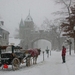 winter 8