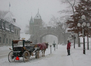 winter 8