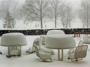 winter 11