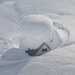 winter 19