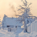 winter 22