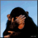 !cid_10C4E5F6-5534-431F-B243-7673CD9744CA
