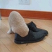 !cid_79CD7B4CD3F5442B9A81F6A232A58451@PCvanYENENNIE