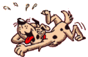 !cid_6811D5BA-8AD4-45CC-B2EB-5F3B17279D61