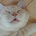 !cid_C3B05387D07245F695C4C7F5B1E3FB67@PCvanYENENNIE