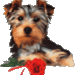 !cid_C3173854-0B24-471B-8DEB-610A24D4994B