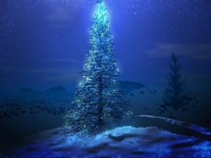 Herschaalde kopie van kerst11