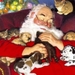 Herschaalde kopie van kerst17