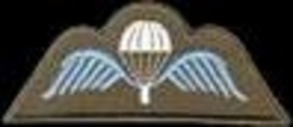 3NLSC1CAQD5YYHCA7Z3VRBCA40DL56CA2Z09ETCA14PT4TCAVLB5KXCAW3ET7QCAH