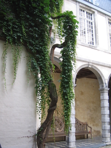 Antwerpen 12-7-08 016