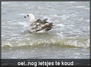 pootje baden
