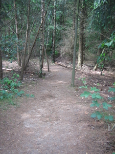 Blote voeten 1-6-08 (6)