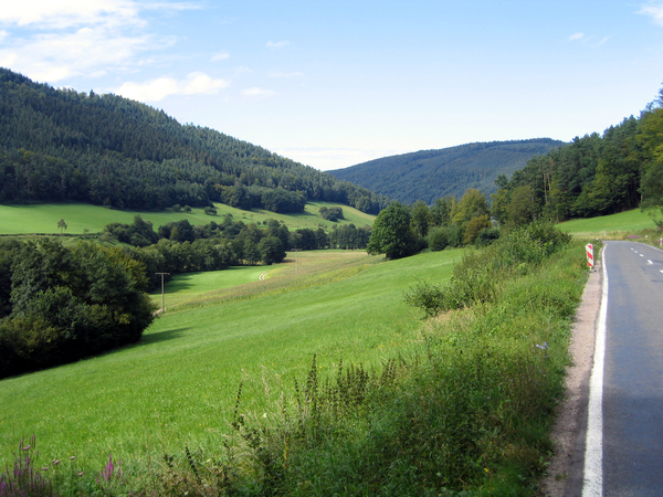 Wald-Michelbach