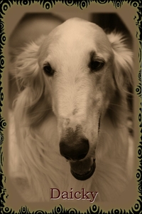 Daicky