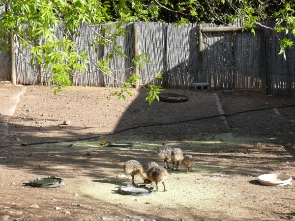 P1020079