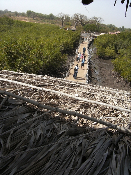 gambia 006