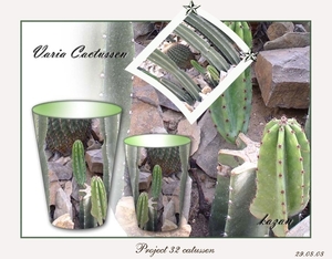 Cactus project