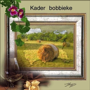 kader bobbieke