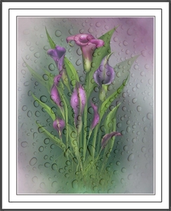 CALLAS