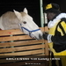 Sint  in ST.Truiden 2008