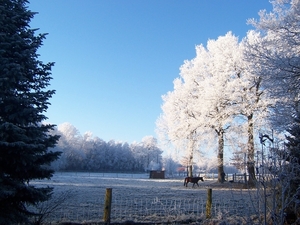 Winterwonderland 07 22-12-2007 10-44-54