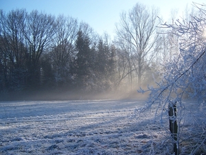 Winterwonderland 07 22-12-2007 13-49-17