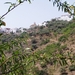 P2060086