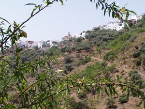 P2060086