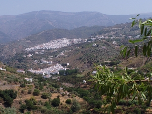 P2060087