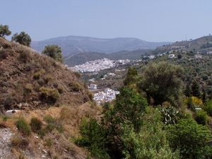 P2060088