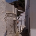 P2060094