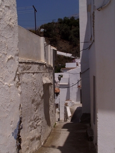 P2060094