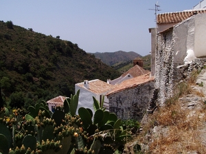 P2060098