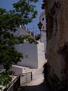 P2060105