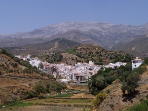 P2060112