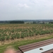 stukje van de vlaamse ardennen