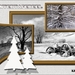 WINTERTAFEREEL