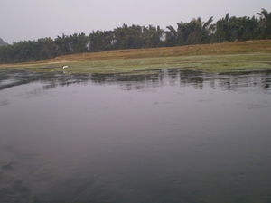 Rustig die riever Li