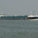 De Galapagos van Ivo